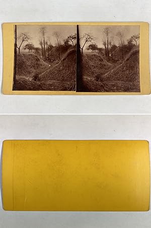 Arbres longeant un fossé, Vintage albumen print, ca.1890, Stéréo