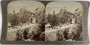 Palestine, Vieille Porte de Césarée de Philippe, au pied du Mont Hermon, Vintage print, ca.1880, ...