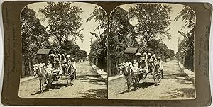 R.Y. Young, Philippine Islands, stereo, Street scene in Manila, 1899