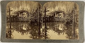 Underwood, Japan, Tokyo, stereo, Bridge in Kameido, 1904