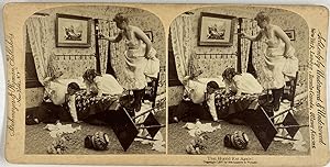 Strohmeyer & Wyman, Genre Scene, stereo, That Horrid Rat Again !, 1897