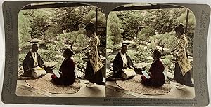 Underwood, Gardens of M. Y. Namikawa, stereo, 1904