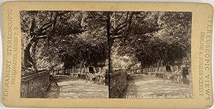 Stereoscopic views, UK, Shanklin, Chine Road, stereo, ca.1900