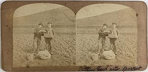Homme mettant des graines dans un panier, Vintage print, ca.1880, Stéréo