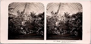 France, Paris, Jardin d'Acclimatation, Serre No.1, Vintage print, ca.1900, Stéréo