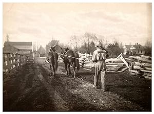U.S.A., Canada, Landscape, man coming from field work with horses