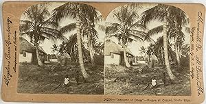 B.L. Singley, USA, Porto Rico, Homes at Catano, stereo, 1900