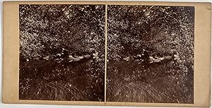 Homme avec un crâne au bord d'un lac, Vintage albumen print, ca.1880, Stéréo