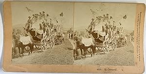 Kilburn, USA, Carnival, Horses Carriages, stereo, 1891