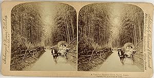 Strohmeyer & Wyman, Japan, Kyoto, A Vista in a Bamboo Grove, stereo, 1896