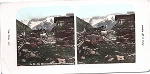 Autriche, Alpes de l'Ötztal (Ötztaler Alpen), Chalet et vache, Vintage print, ca.1900, Stéréo aqu...