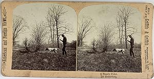 Griffith, Genre Scene, stereo, Hunting, A Steady Point, ca.1900