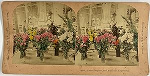 Kilburn, USA, American Exposition, Floral Display, stereo, 1901