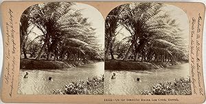 Singley, Hawaii, Mauna Loa Creek, vintage stereo print, 1901