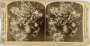 Geo Barker, Still Life, Cherry Blossoms and Cherry Birds, stereo, 1890