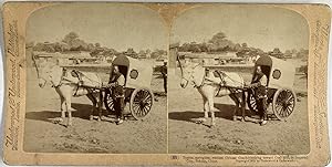 Underwood, China, Beijing, Typical Chinese Coach, stereo, 1901