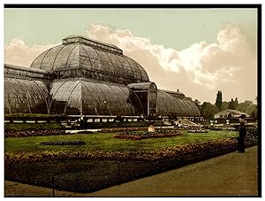 Kew Gardens, The Palm House, London & Suburbs