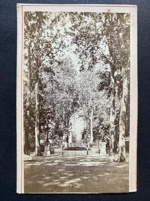 France, Une avenue dans un parc, vintage albumen print, ca.1870