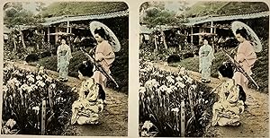 Japon, Japonaises dans un jardin à fleurs, Vintage print, circa 1890, Stéréo