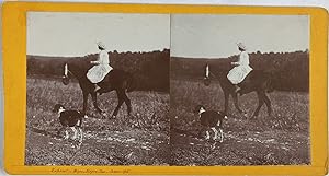 France, Vitrolles, Vue d'un cheval andalou et de sa cavalière, Vintage print, circa 1900, Stéréo