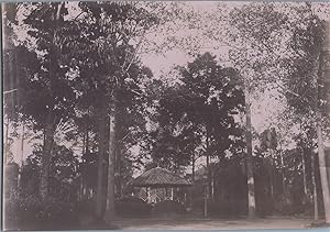 Vietnam, Saïgon, Jardin Botanique, Kiosque, vintage carbon print, ca.1910