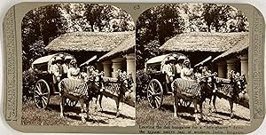 India, Belgaum, Bile-Gharry, Native Taxi, vintage stereo print, ca.1900