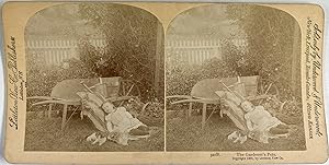 Royaume-Uni, Scène de vie, Les favoris du jardinier, Vintage print, Circa 1890, Stéréo