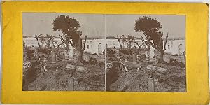 Tunisie, Carthage, Vue du jardin du Musée de Carthage, Vintage print, circa 1890, Stéréo