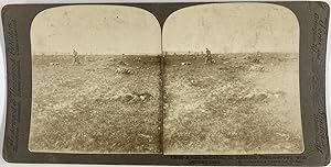 Guerre 1914/18, France, Soldats allemands morts sur un champ de bataille, Vintage silver print, c...