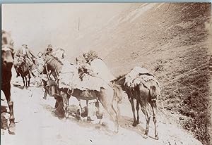 Maghreb, Vue d'attelages dans un milieu rural et montagneux, Vintage print, circa 1890