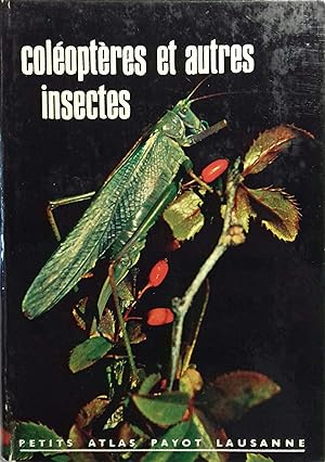 Coléoptères et autres insectes. Vers 1980.