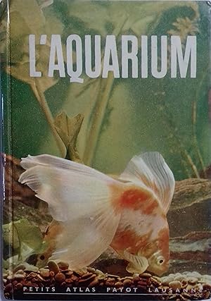 L'aquarium. Vers 1980.