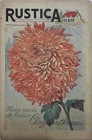 Rustica. 1951 : 24e année. N° 18. En couverture : Pour avoir de beaux chrysanthèmes. Journal univ...