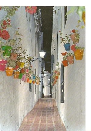 Postal 037052 : Costa del Sol - Marbella. Calle tipica