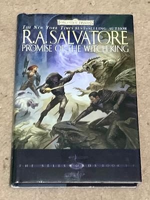 Promise of the Witch King: The Sellswords, Book II
