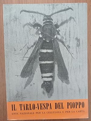 Il tarlo - vespa del pioppo