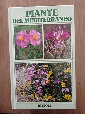 Piante del Mediterraneo