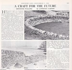 Drystone Walling. Several pictures and accompanying text, removed from an original issue of Count...