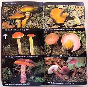 The Audubon Society Field Guide to North American Mushrooms