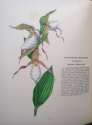 Hardy and Half-Hardy Plants - illustrations and descriptions of beautiful and interesting plants ...