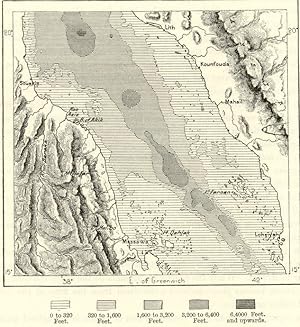Coral Banks in the central Basin of the Red Sea,1882 Antique Intext Map