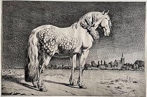 Antique print, etching | The Frisian horse, published ca. 1800, 1 p.