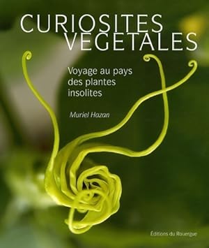 Curiosit s v g tales : Voyage au pays des plantes insolites - Muriel Hazan