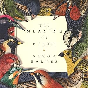 The Meaning of Birds