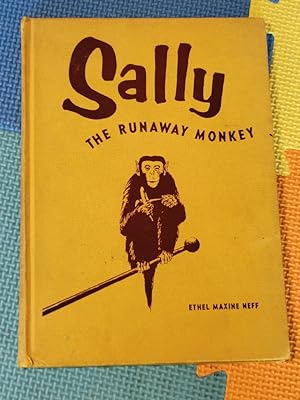 Sally The Runaway Monkey