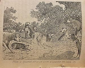 [EARLY AMERICAN ILLUSTRATIONS OF DOGS]. The Council of Dogs: illustrated with suitable engravings