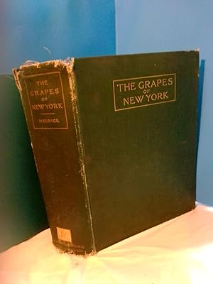 THE GRAPES OF NEW YORK [REPORT OF THE NEW YORK AGRICULTURAL EXPERIMENT STATION FOR THE YEAR 1907,...