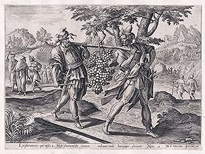 "Exploratores qui missi a Mose fueruntin Canam." - Kalebstraube wine Wein Weintraube / Bible Bibel