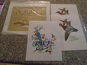 7 Vintage Duck and Bird Prints Check Listing for Speccifics