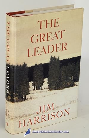 The Great Leader: A Faux Mystery